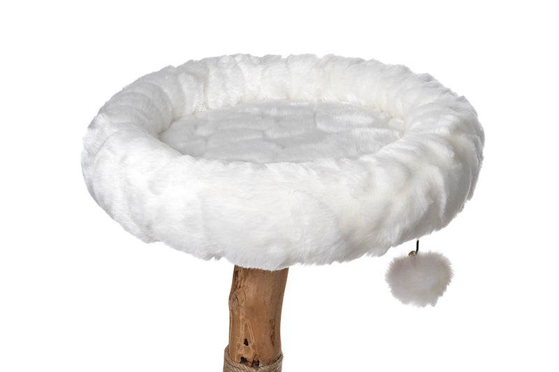 Cotton White